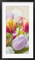 Spring Tulips III Fine Art Print