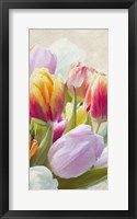 Spring Tulips III Framed Print
