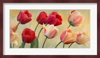 Golden Tulips Fine Art Print