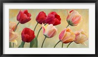 Golden Tulips Fine Art Print