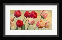 Golden Tulips Fine Art Print