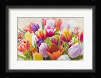 Spring Tulips Fine Art Print
