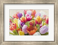 Spring Tulips Fine Art Print