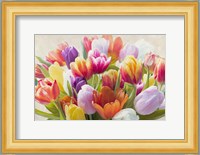 Spring Tulips Fine Art Print