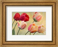 Golden Tulips (detail) Fine Art Print
