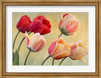 Golden Tulips (detail) Fine Art Print