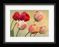 Golden Tulips (detail) Fine Art Print