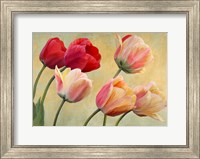 Golden Tulips (detail) Fine Art Print