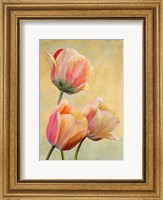 Golden Tulips I Fine Art Print