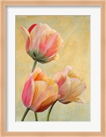 Golden Tulips I Fine Art Print