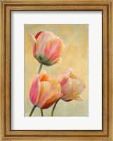 Golden Tulips I Fine Art Print