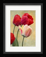 Ruby Tulips Fine Art Print