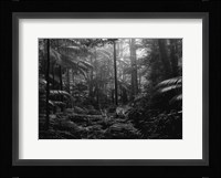 In the Jungle Fine Art Print
