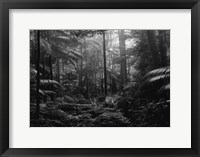 In the Jungle Fine Art Print