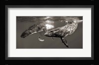 La Fille de la Mer Fine Art Print