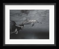 Oceane Fine Art Print