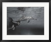 Oceane Fine Art Print