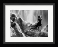 Nature's Beauty Fine Art Print