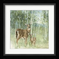Nature's Call II Framed Print