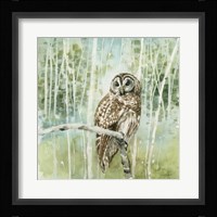 Nature's Call III Fine Art Print