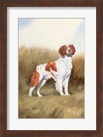 Hunting Dog I Fine Art Print
