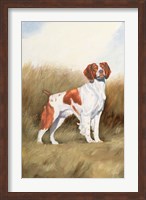 Hunting Dog I Fine Art Print