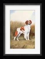 Hunting Dog I Fine Art Print