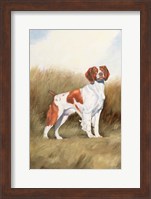 Hunting Dog I Fine Art Print