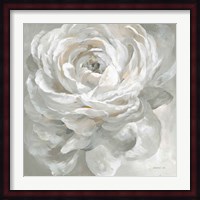 White Rose Fine Art Print
