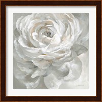 White Rose Fine Art Print