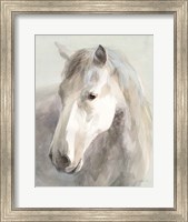 Gentle Horse Crop Fine Art Print