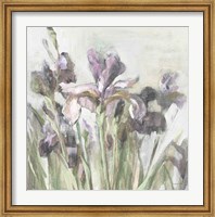 Spring Iris I Purple Fine Art Print