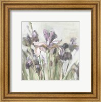 Spring Iris I Purple Fine Art Print