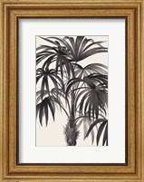 Riviera Palms II BW Fine Art Print
