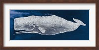 Whale on Blue Fine Art Print
