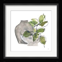 Two Vases II Framed Print