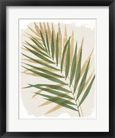 Nature By the Lake Frond II Shadows Framed Print