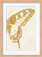 Butterfly Wings II Fine Art Print