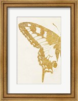 Butterfly Wings I Fine Art Print