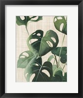 Tropical Study IV Linen Fine Art Print