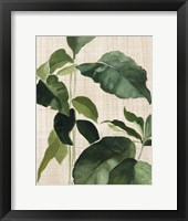 Tropical Study II Linen Framed Print