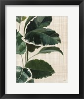 Tropical Study I Linen Framed Print