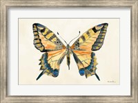 Butterfly Study II Fine Art Print