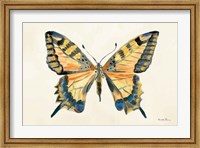 Butterfly Study II Fine Art Print