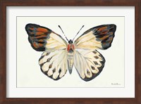 Butterfly Study I Fine Art Print