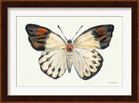 Butterfly Study I Fine Art Print