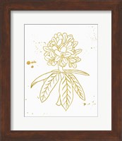 Gold Blooms II Fine Art Print