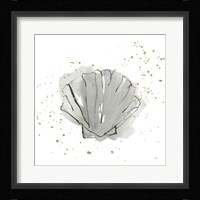Sea Scallop Framed Print