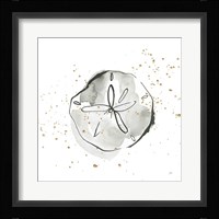 Sand Dollar I Fine Art Print