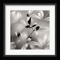 Botanical Study No. 5 Fine Art Print